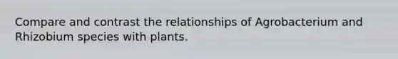 Compare and contrast the relationships of Agrobacterium and Rhizobium species with plants.