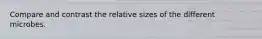 Compare and contrast the relative sizes of the different microbes.