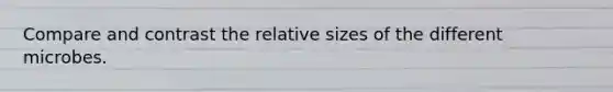 Compare and contrast the relative sizes of the different microbes.