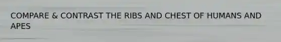 COMPARE & CONTRAST THE RIBS AND CHEST OF HUMANS AND APES