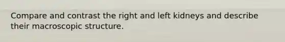 Compare and contrast the right and left kidneys and describe their macroscopic structure.