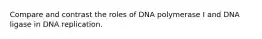 Compare and contrast the roles of DNA polymerase I and DNA ligase in DNA replication.