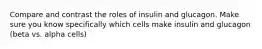 Compare and contrast the roles of insulin and glucagon. Make sure you know specifically which cells make insulin and glucagon (beta vs. alpha cells)