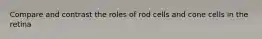 Compare and contrast the roles of rod cells and cone cells in the retina