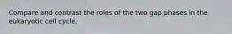 Compare and contrast the roles of the two gap phases in the eukaryotic cell cycle.