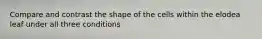 Compare and contrast the shape of the cells within the elodea leaf under all three conditions