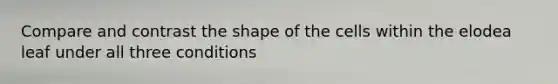 Compare and contrast the shape of the cells within the elodea leaf under all three conditions