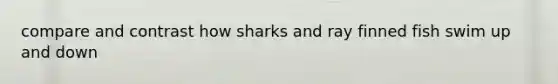 compare and contrast how sharks and ray finned fish swim up and down