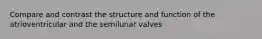 Compare and contrast the structure and function of the atrioventricular and the semilunar valves