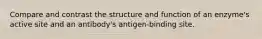 Compare and contrast the structure and function of an enzyme's active site and an antibody's antigen-binding site.