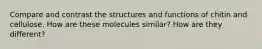 Compare and contrast the structures and functions of chitin and cellulose. How are these molecules similar? How are they different?