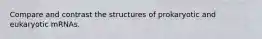 Compare and contrast the structures of prokaryotic and eukaryotic mRNAs.