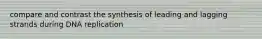 compare and contrast the synthesis of leading and lagging strands during DNA replication