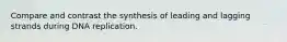 Compare and contrast the synthesis of leading and lagging strands during DNA replication.