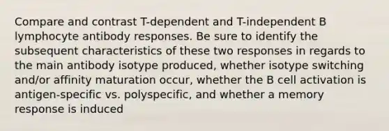 Compare and contrast T-dependent and T-independent B lymphocyte antibody responses. Be sure to identify the subsequent characteristics of these two responses in regards to the main antibody isotype produced, whether isotype switching and/or affinity maturation occur, whether the B cell activation is antigen-specific vs. polyspecific, and whether a memory response is induced