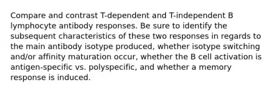 Compare and contrast T-dependent and T-independent B lymphocyte antibody responses. Be sure to identify the subsequent characteristics of these two responses in regards to the main antibody isotype produced, whether isotype switching and/or affinity maturation occur, whether the B cell activation is antigen-specific vs. polyspecific, and whether a memory response is induced.