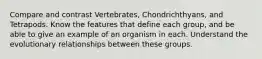 Compare and contrast Vertebrates, Chondrichthyans, and Tetrapods. Know the features that define each group, and be able to give an example of an organism in each. Understand the evolutionary relationships between these groups.