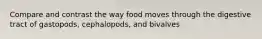 Compare and contrast the way food moves through the digestive tract of gastopods, cephalopods, and bivalves
