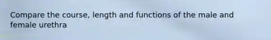 Compare the course, length and functions of the male and female urethra