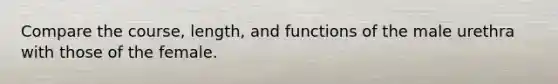 Compare the course, length, and functions of the male urethra with those of the female.