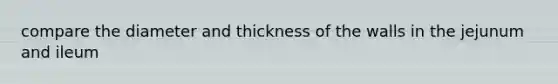 compare the diameter and thickness of the walls in the jejunum and ileum