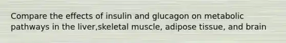 Compare the effects of insulin and glucagon on metabolic pathways in the liver,skeletal muscle, adipose tissue, and brain