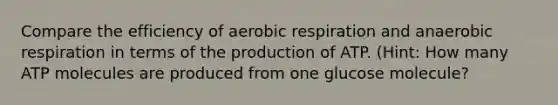 Compare the efficiency of aerobic respiration and anaerobic respiration in terms of the production of ATP. (Hint: How many ATP molecules are produced from one glucose molecule?