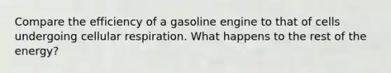 Compare the efficiency of a gasoline engine to that of cells undergoing cellular respiration. What happens to the rest of the energy?