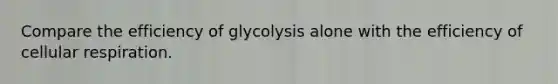 Compare the efficiency of glycolysis alone with the efficiency of cellular respiration.