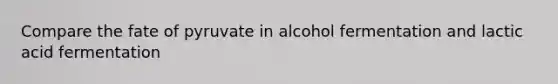 Compare the fate of pyruvate in alcohol fermentation and lactic acid fermentation