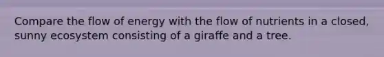 Compare the flow of energy with the flow of nutrients in a closed, sunny ecosystem consisting of a giraffe and a tree.