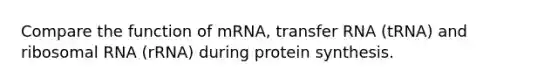 Compare the function of mRNA, transfer RNA (tRNA) and ribosomal RNA (rRNA) during protein synthesis.