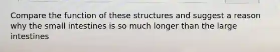 Compare the function of these structures and suggest a reason why the small intestines is so much longer than the large intestines