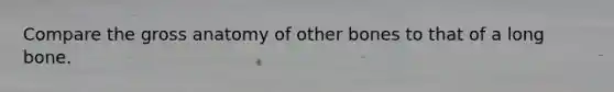 Compare the gross anatomy of other bones to that of a long bone.