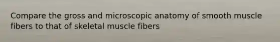 Compare the gross and microscopic anatomy of smooth muscle fibers to that of skeletal muscle fibers