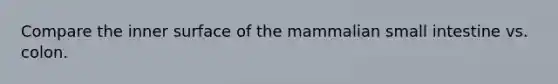Compare the inner surface of the mammalian small intestine vs. colon.