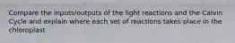 Compare the inputs/outputs of the light reactions and the Calvin Cycle and explain where each set of reactions takes place in the chloroplast