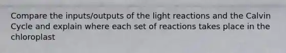 Compare the inputs/outputs of the light reactions and the Calvin Cycle and explain where each set of reactions takes place in the chloroplast
