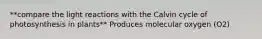 **compare the light reactions with the Calvin cycle of photosynthesis in plants** Produces molecular oxygen (O2)