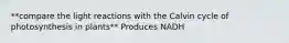 **compare the light reactions with the Calvin cycle of photosynthesis in plants** Produces NADH