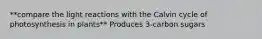 **compare the light reactions with the Calvin cycle of photosynthesis in plants** Produces 3-carbon sugars