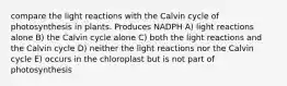 compare the light reactions with the Calvin cycle of photosynthesis in plants. Produces NADPH A) light reactions alone B) the Calvin cycle alone C) both the light reactions and the Calvin cycle D) neither the light reactions nor the Calvin cycle E) occurs in the chloroplast but is not part of photosynthesis