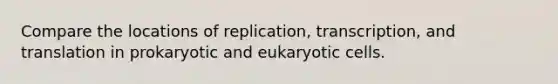 Compare the locations of replication, transcription, and translation in prokaryotic and eukaryotic cells.