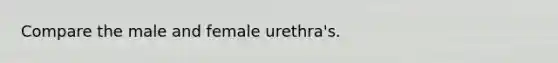 Compare the male and female urethra's.