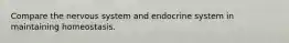 Compare the nervous system and endocrine system in maintaining homeostasis.