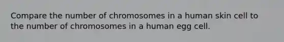 Compare the number of chromosomes in a human skin cell to the number of chromosomes in a human egg cell.