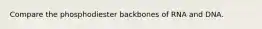 Compare the phosphodiester backbones of RNA and DNA.