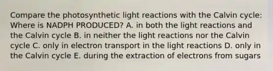 Compare the photosynthetic light reactions with the Calvin cycle: Where is NADPH PRODUCED? A. in both the light reactions and the Calvin cycle B. in neither the light reactions nor the Calvin cycle C. only in electron transport in the light reactions D. only in the Calvin cycle E. during the extraction of electrons from sugars