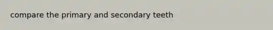 compare the primary and secondary teeth