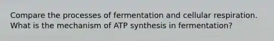 Compare the processes of fermentation and <a href='https://www.questionai.com/knowledge/k1IqNYBAJw-cellular-respiration' class='anchor-knowledge'>cellular respiration</a>. What is the mechanism of <a href='https://www.questionai.com/knowledge/kx3XpCJrFz-atp-synthesis' class='anchor-knowledge'>atp synthesis</a> in fermentation?